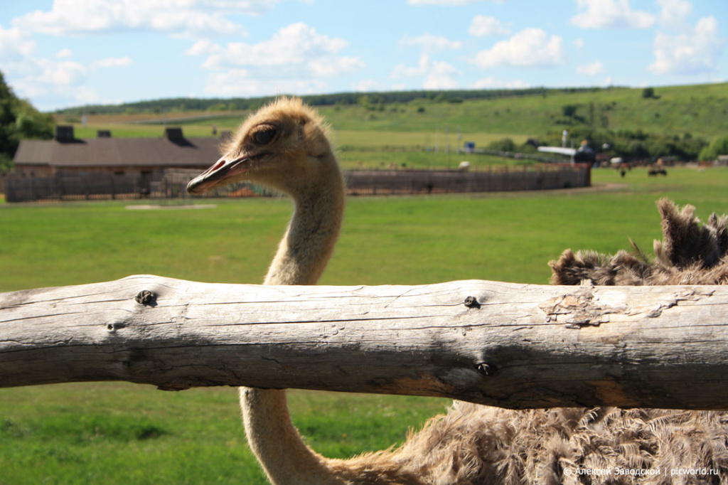 IMG_5397.jpg IMG_5397.jpg